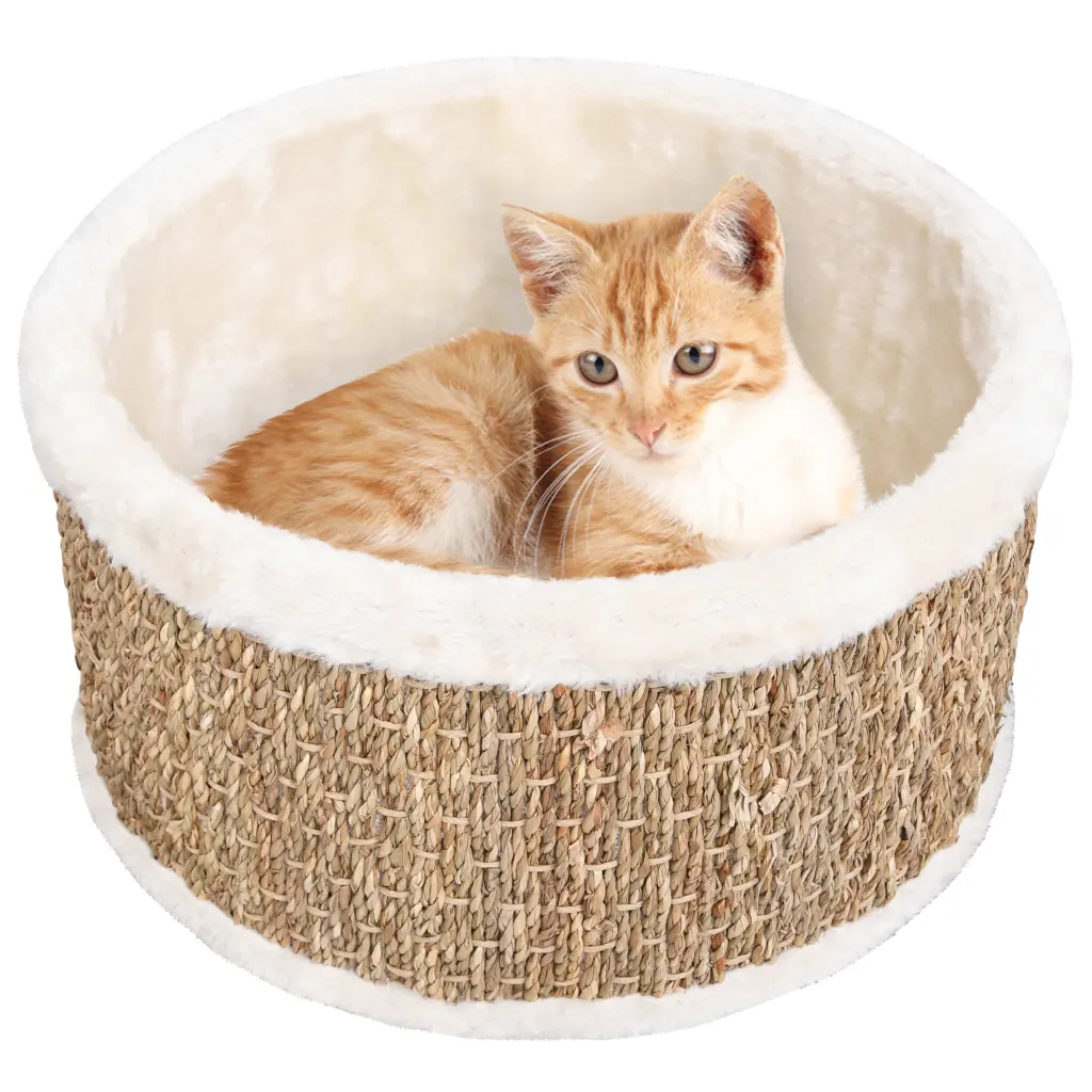 Affordable Cat Baskets for Sale in Australia – Provide Comfort and Security for Your Feline Friend at Budget-Friendly Prices