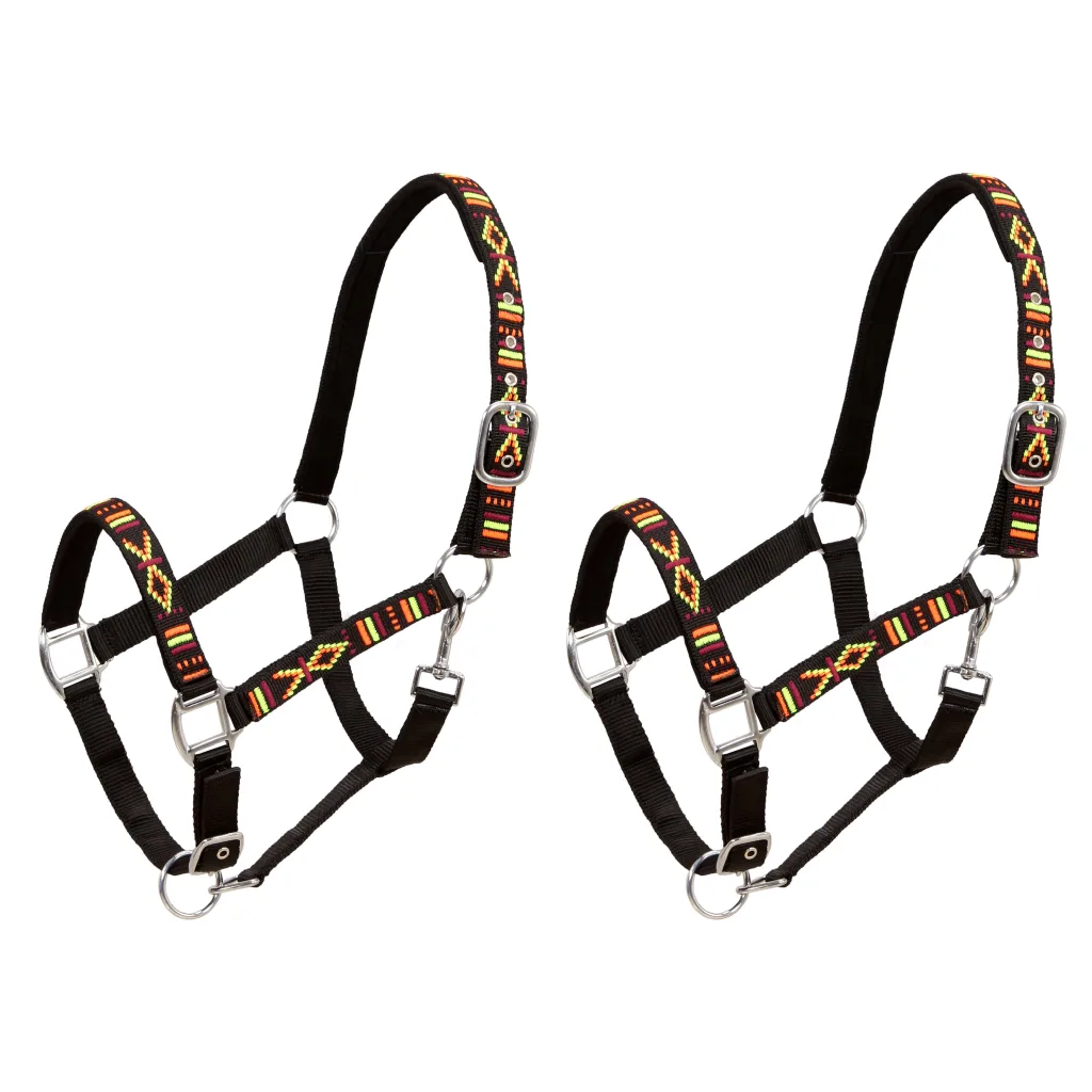 Find Affordable Head Collars for Sale in Australia – Improve Your Dog’s Training and Safety