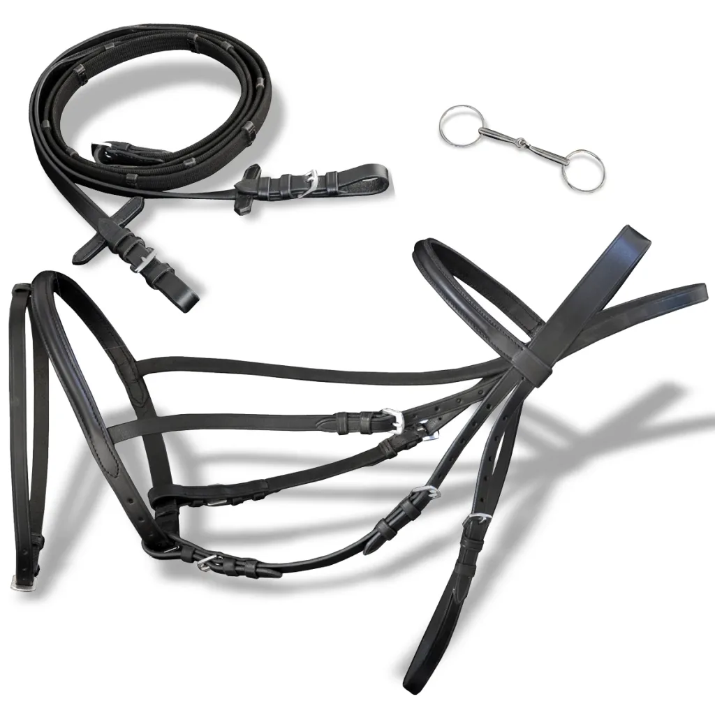 Leather Flash Bridle: The Perfect Choice for Equestrian Enthusiasts in Australia